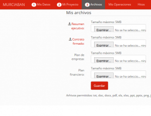 REGISTRO PROYECTO WANNASEED P3