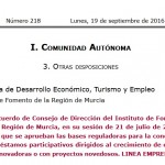 borm-linea-emprendia